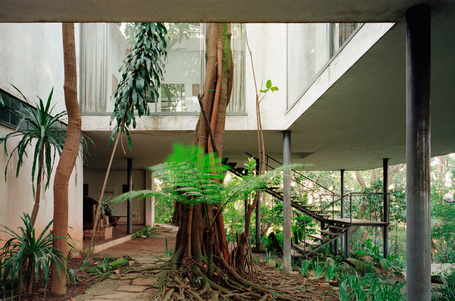 Nelson Kon | Casa de Vidro, Lina Bo Bardi - São Paulo/SP (1950), ensaio realizado em 2001